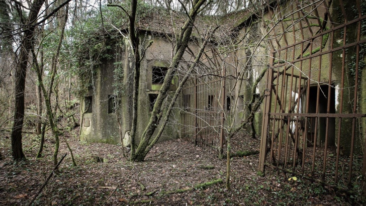 Feste Königsmachern