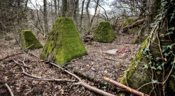 Westwall - Panzersperre bei Saarbrücken - Drachenzähne im Almet