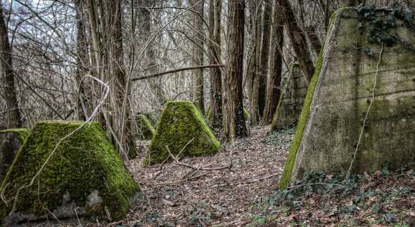 Westwall - Panzersperre bei Saarbrücken - Drachenzähne im Almet