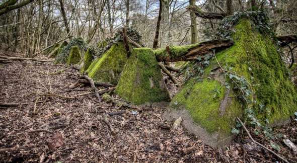 Westwall - Panzersperre bei Saarbrücken - Drachenzähne im Almet