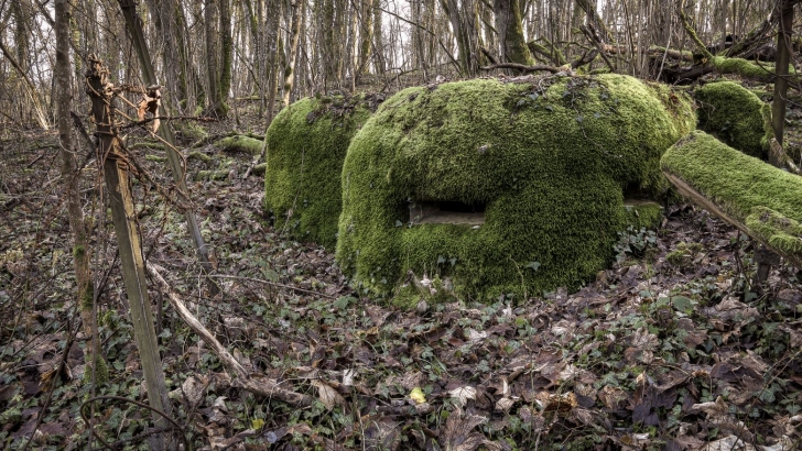 Stellung Obergentringen