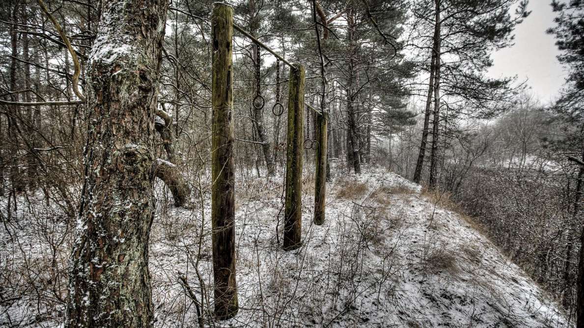 Deutsche Festungen in den Vogesen 