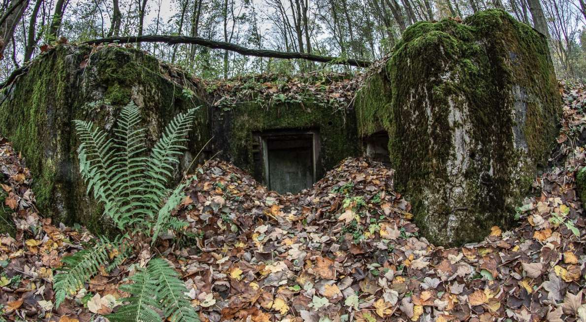 (c) wytrazekpiotr 123rf.com Bild 110749675