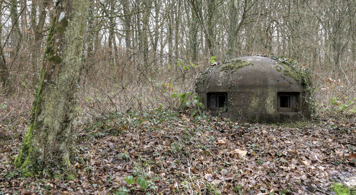 Maginot-Linie - Abri du Bois de Cattenom - Abschnitt Thionville